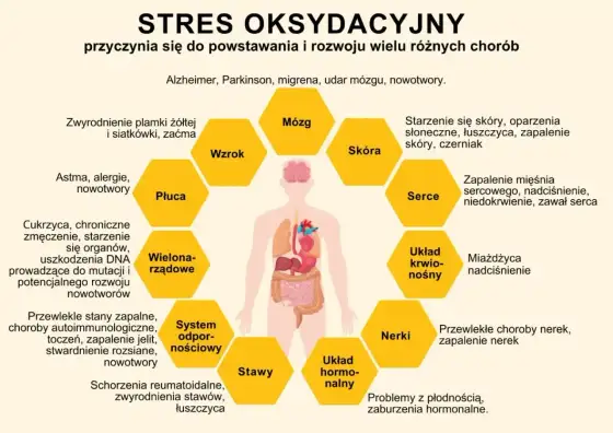 Stres oksydacyjny a skóra - jakie antyoksydanty mają sens?